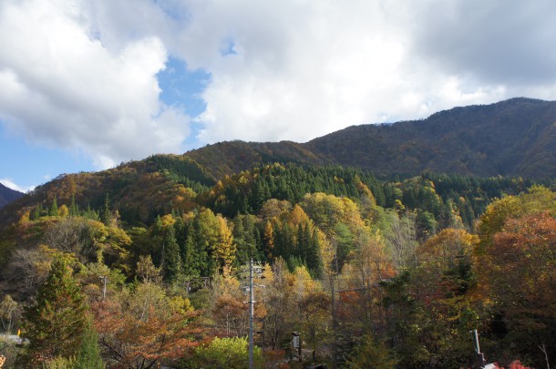 2016年　紅葉情報10