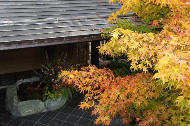 2016年　紅葉情報9