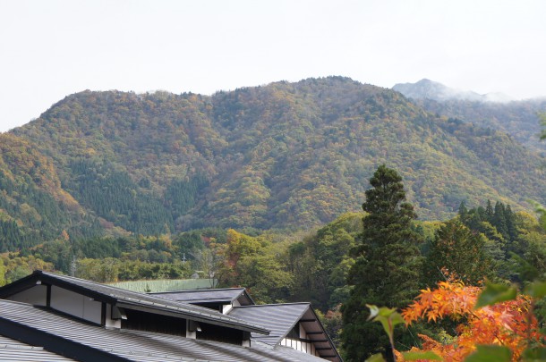 2016年　紅葉情報9