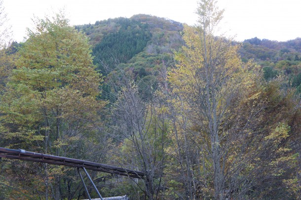 2016年　紅葉情報8