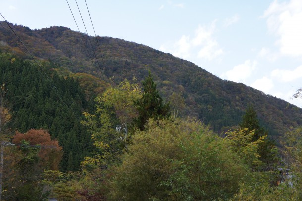 2016年　紅葉情報8