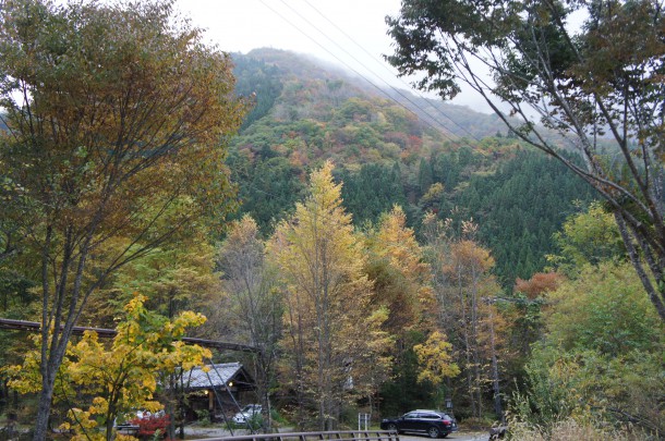 2016年　紅葉情報7