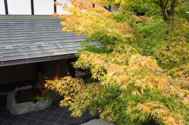 2016年　紅葉情報7