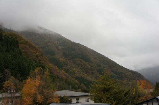 2016年　紅葉情報7