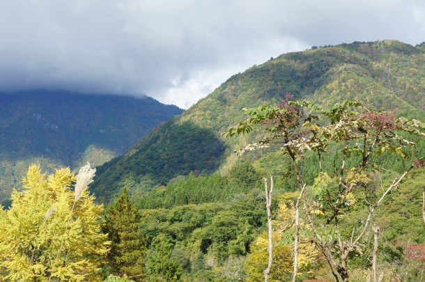 2016年　紅葉情報6