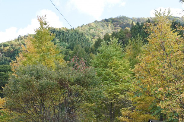 2016年　紅葉情報6