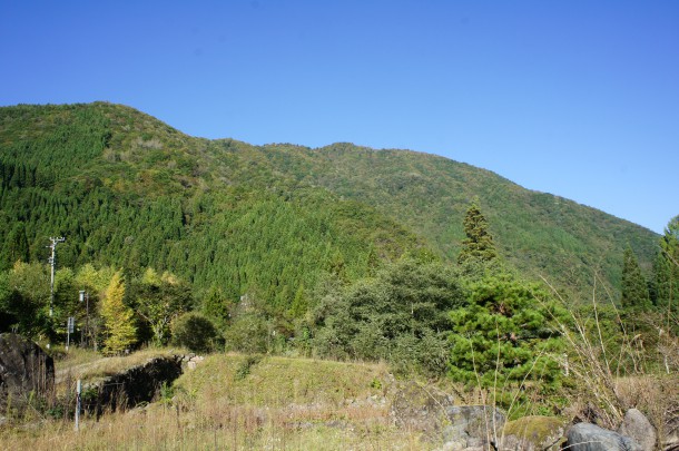 2016年　紅葉情報5