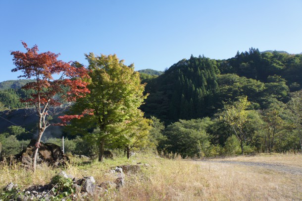 2016年　紅葉情報5