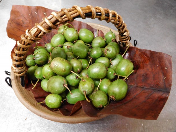 【山里の恵み】キウイのミニチュア「猿梨（サルナシ）」