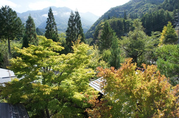 2016年　紅葉情報4