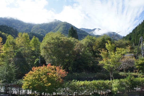 2016年　紅葉情報4