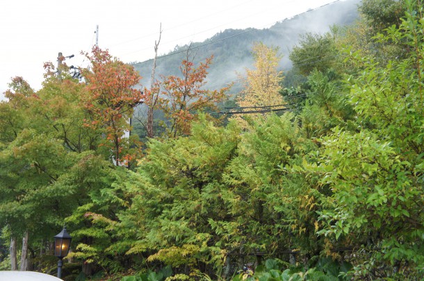 2016年　紅葉情報3