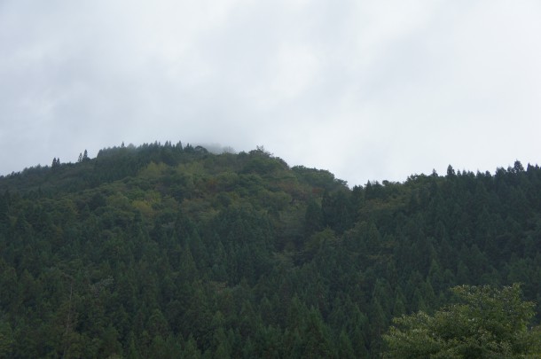 2016年　紅葉情報3