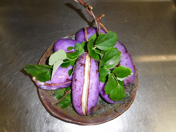 「あけび」が取れました！！