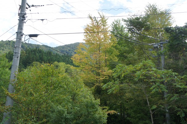 2016年　紅葉情報2