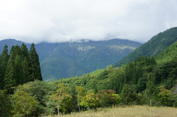 2016年　紅葉情報2