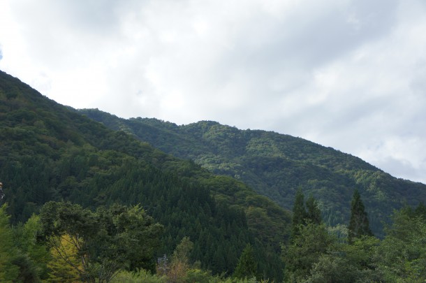 2016年　紅葉情報2