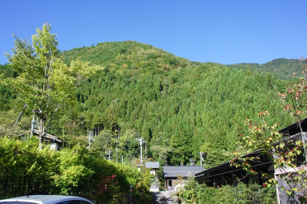 2016年　紅葉情報1