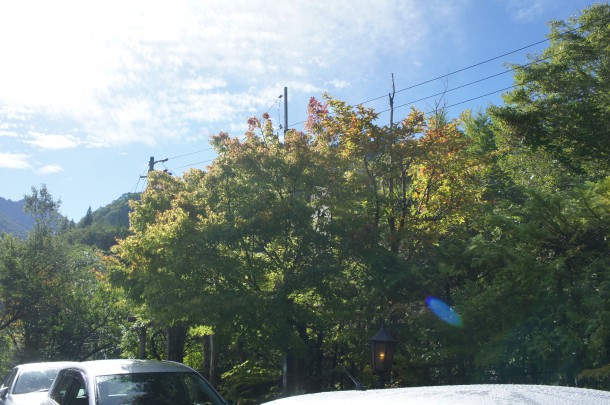 2016年　紅葉情報1