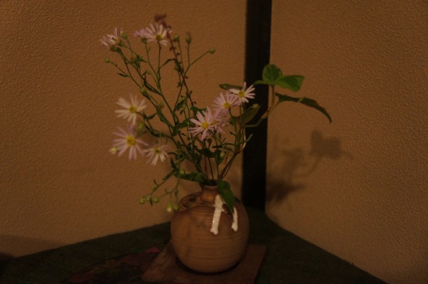 【和のこころ】菊を用いて不老長寿を願う「重陽の節句」