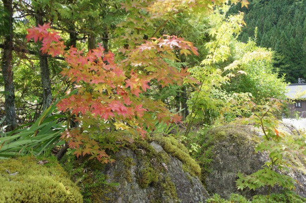 【奥飛騨の秋】まつりのあと・・・