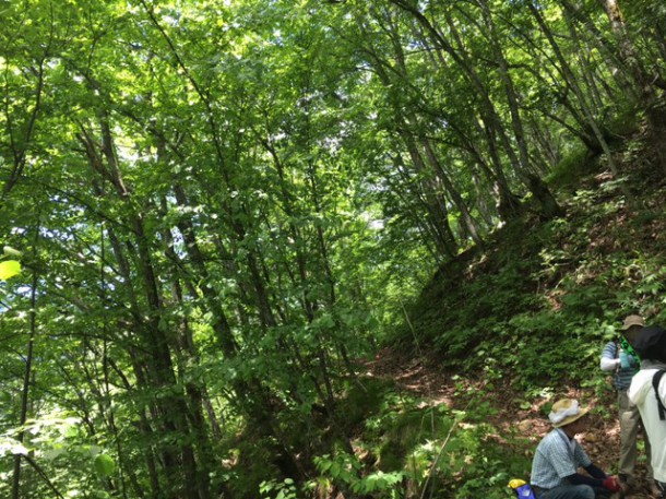 福地山トレッキングルートの整備を行いました♪