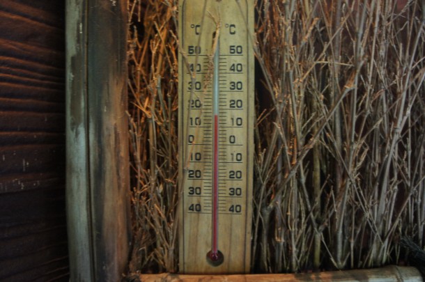 蛍飛び交う季節です♪