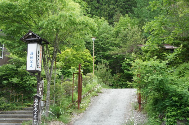 葉の方が馴染み深いもの。