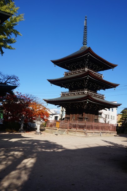 今年もせせらぎの小径を彩っています。