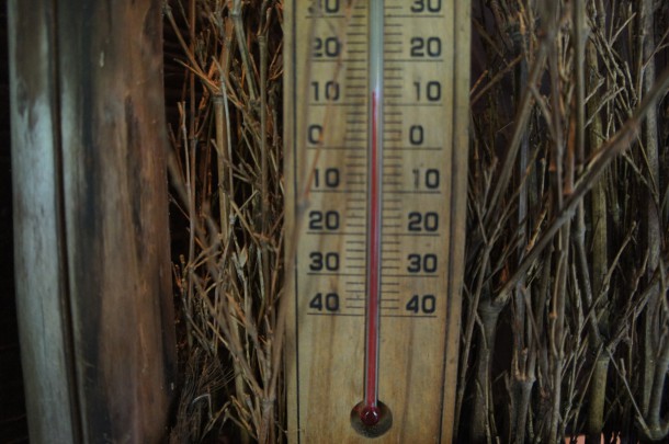 最近よくご質問いただく花木の名