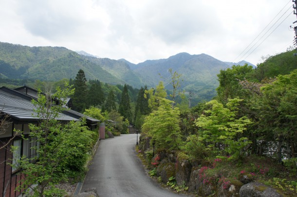 桜を見納めた頃、青い風にのってくるものといえば。