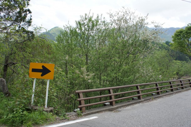 桜を見納めた頃、青い風にのってくるものといえば。