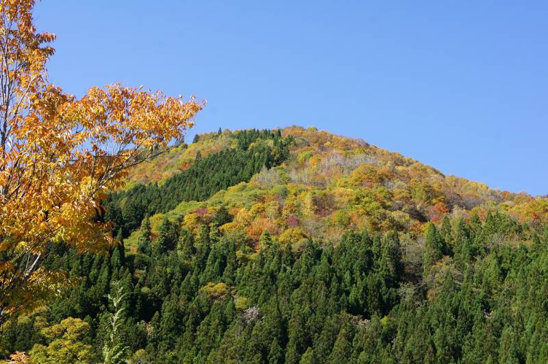 2018 紅葉情報7