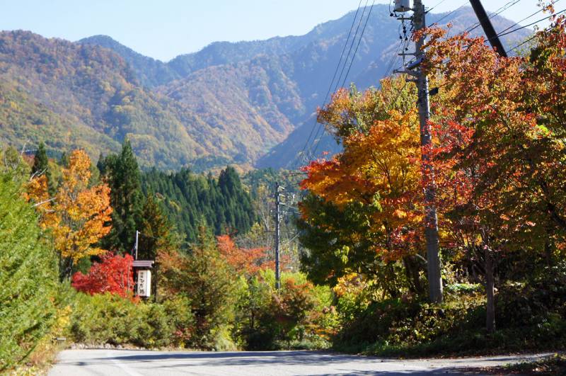 2018 紅葉情報7