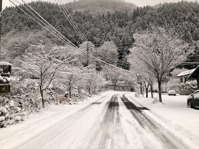 雪化粧しました。