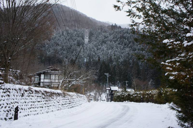 雪化粧。