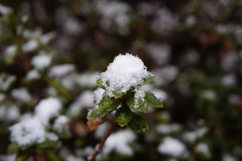 雪雲