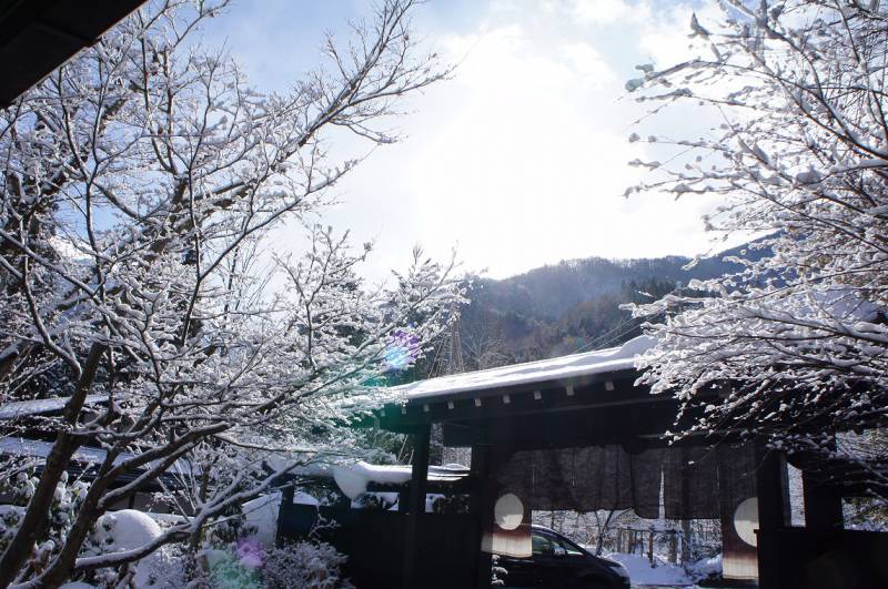 綺麗な雪景色