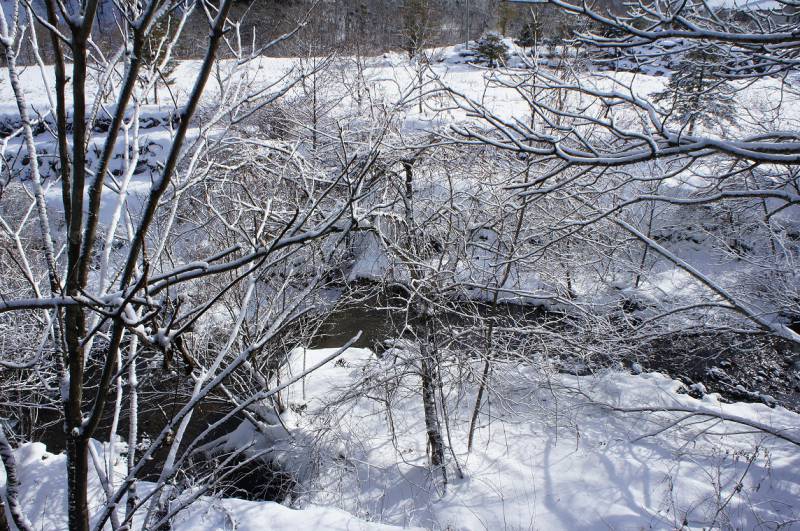 綺麗な雪景色