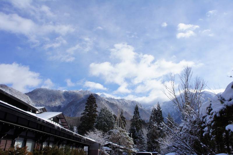 綺麗な雪景色