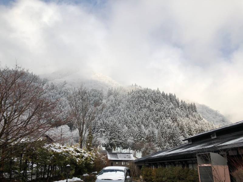 久しぶりに雪がふりました。