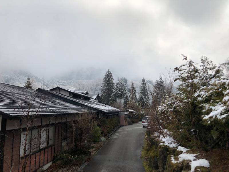 久しぶりに雪がふりました。