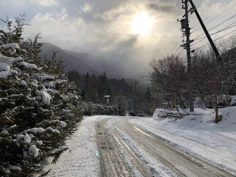 またまた雪が降りました