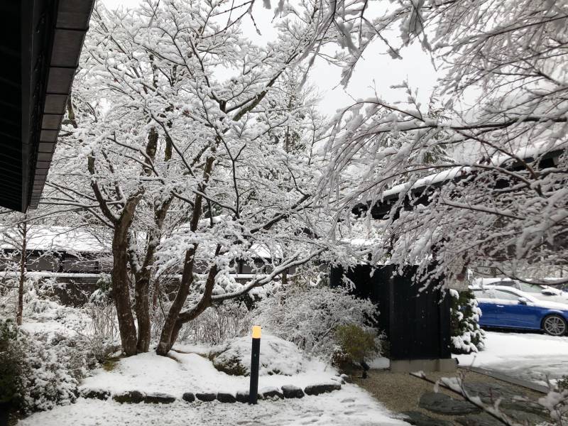 4月10日の雪景色