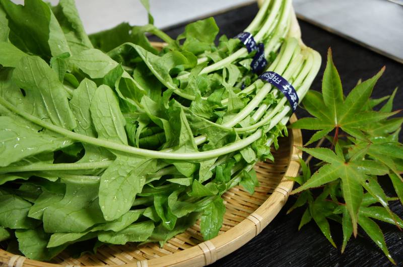 高冷地野菜「大根菜」