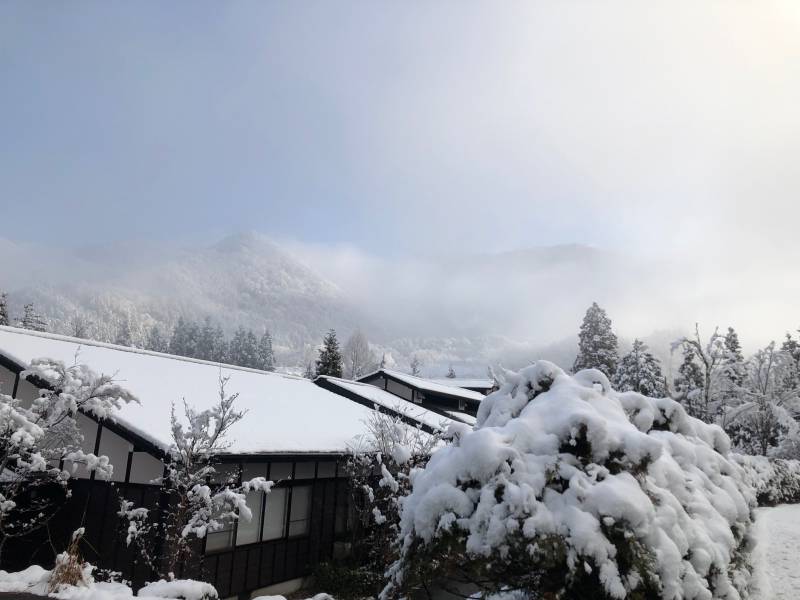 久しぶりの雪景色