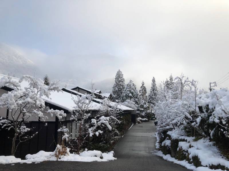 久しぶりの雪景色