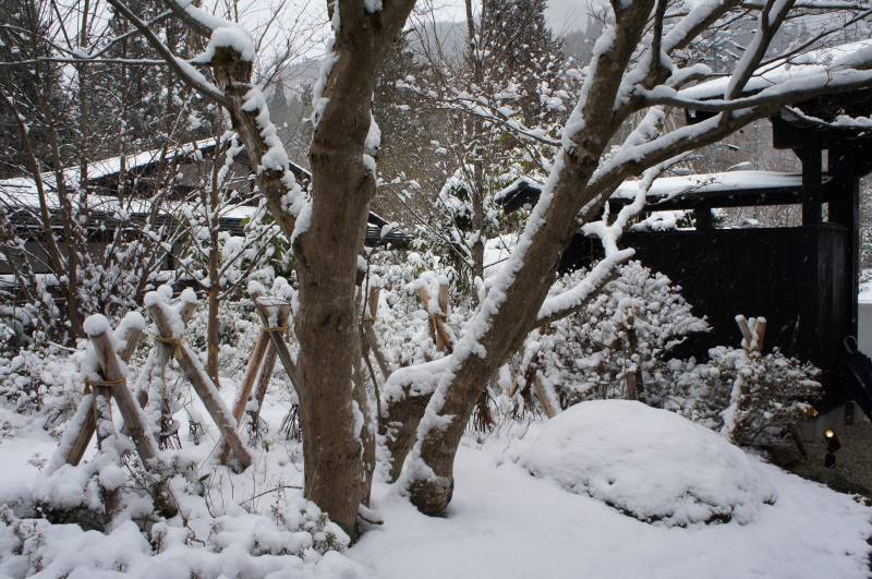 待望の降雪