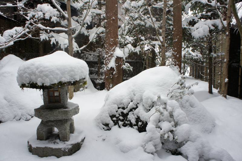 今年一番の豪雪です☃