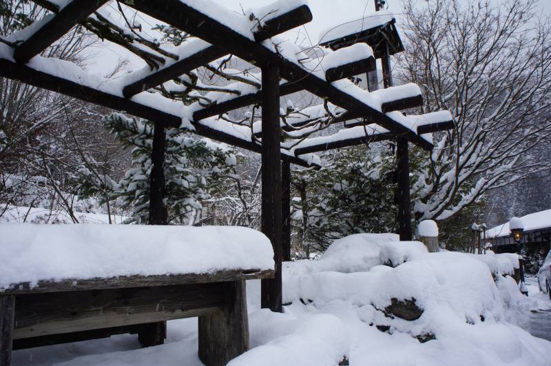 今年一番の豪雪です☃